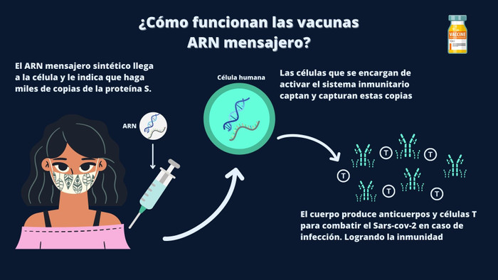 Funcionamiento de las vacunas ARN